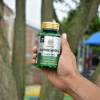 Capsulas Ashwaganda X120caps
