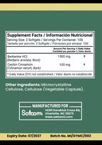 Berberine Premium | Control de Azúcar, Pérdida de Grasa y Energía Metabólica NATURAL
