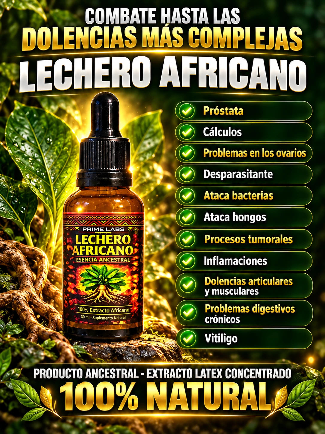 LECHERO AFRICANO EN GOTAS - ORIGINAL - EXTRACTO DE LA PLANTA DE LA VIDA: REGULA LA GLUCOSA, MEJORA LA PRESIÓN, REGENERA LAS CÉLULAS, ANTIINFLAMATORIO Y POTENCIADOR 100%