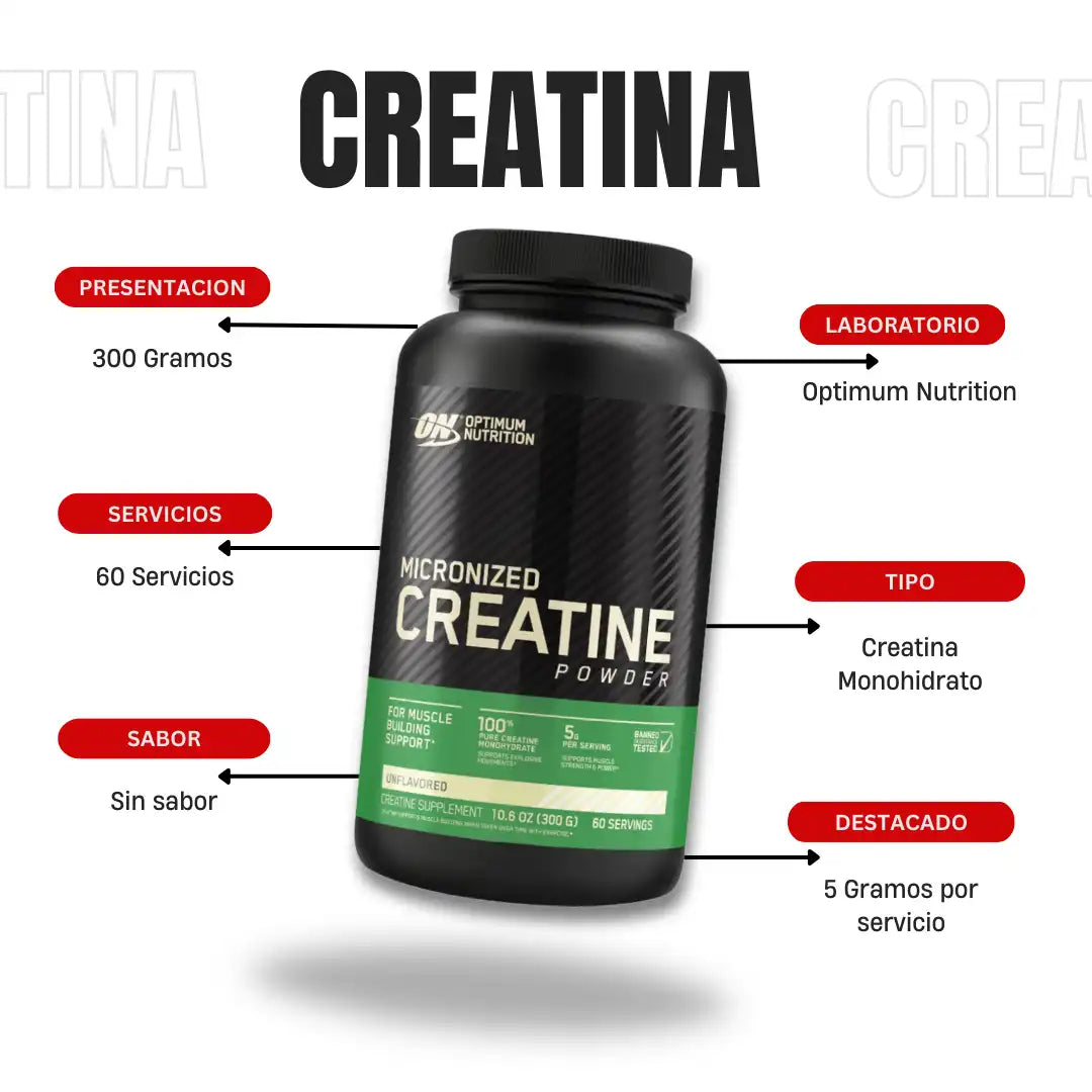 Creatina Monohidrato Optimum Nutrition -  Micronized Creatine Powder Sin Sabor 60 Serv